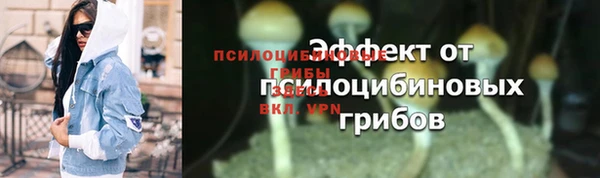 ГАЛЛЮЦИНОГЕННЫЕ ГРИБЫ Алзамай