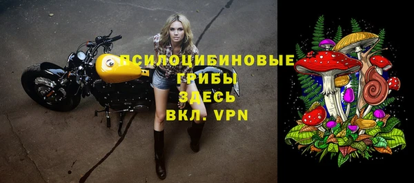 2c-b Алексин