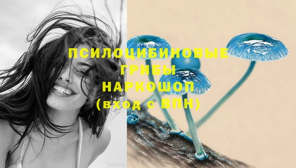 ГАЛЛЮЦИНОГЕННЫЕ ГРИБЫ Алзамай