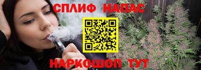 гидропоника Пугачёв