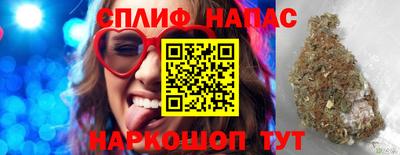 гидропоника Пугачёв