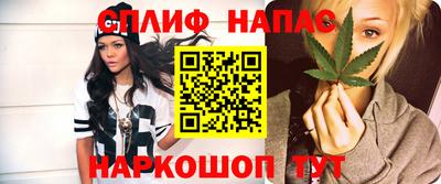гидропоника Пугачёв
