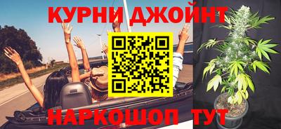 гидропоника Пугачёв