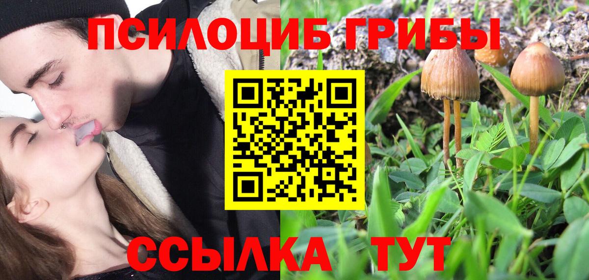 Галлюциногенные грибы GOLDEN TEACHER  Галлюциногенные грибы мухоморы  Чебаркуль  Вход с VPN 