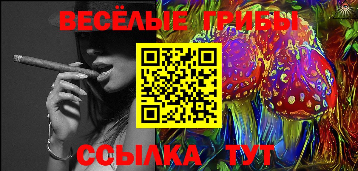 Галлюциногенные грибы Cubensis Чебаркуль